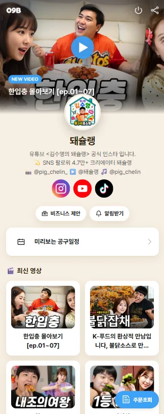 알약형
